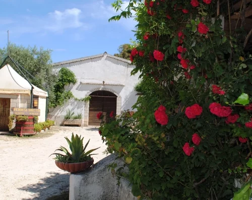 Aziende Agricole Cantine Cimaglia