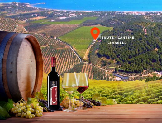 Aziende Agricole Cantine Cimaglia