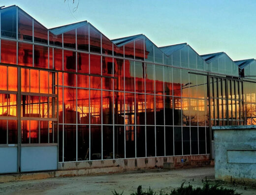 Cantine Tere del Sud di Rocco Venneri